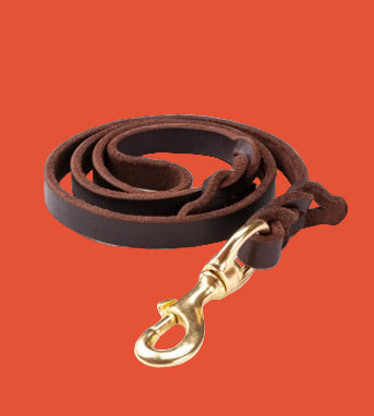 The first layer of leather dog leashes in the large dog chain demu training rope horse dog Golden Retriever dog rope