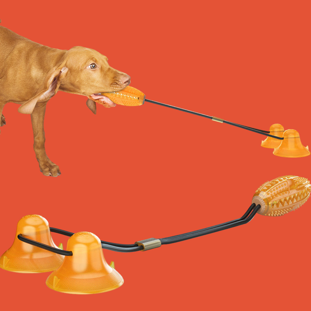 Multifunction Double Tug Rope Balls Sucker Toy Dog Molar Bite Toys