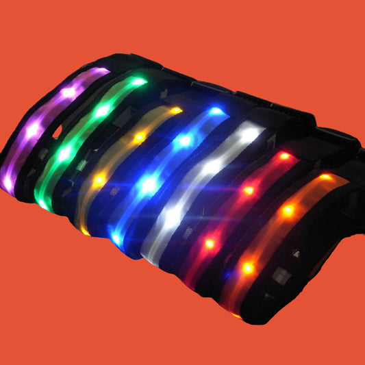LED Light With Flashing Dog Collar
