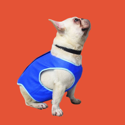 Dog cooling vest
