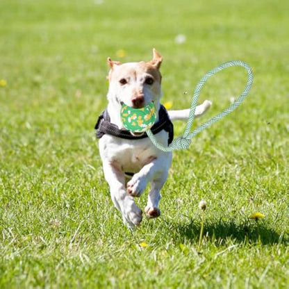 Dog Ball On Rope Dog Toy For Medium Small Dog Interactive Natural Solid Rubber Dog Rope Ball Dog Fetch Pull Tug Throw Toy Ball Toys