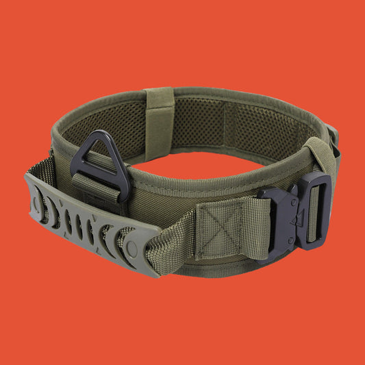 Quick Release Metal Buckle Outdoor Dog Walking Collar