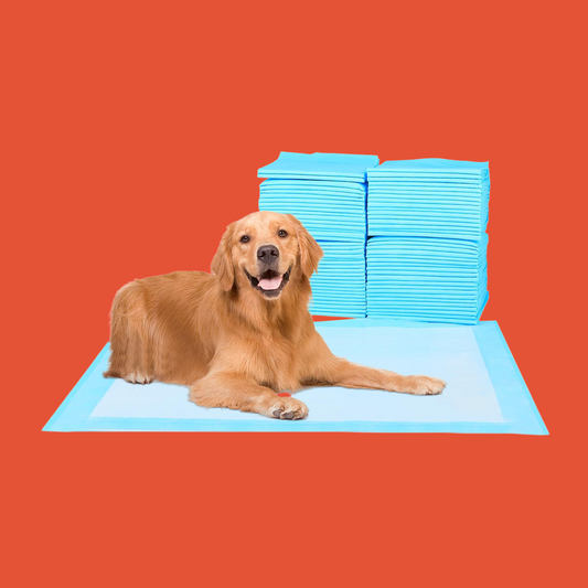 40 Pcs 30 Inchesx 30 Inches   Premium Disposable Training Pads, Pee Pads, Training Pads, Disposable Puppy Pee Pads, Quick Absorb And Odor Control, Manufactured In The US