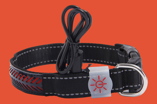 LED Luminous Pet Dog Collar Engraved Leather