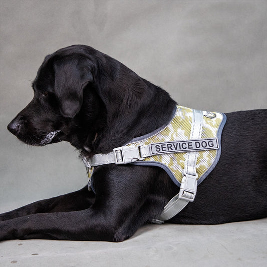 Neck Protection Anti-strangulation Colorful Reflective Pet Harness