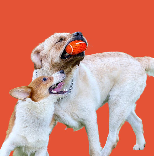 Squeaky Balls For Dogs, Rubber Football For Aggressive Chewers, Fetch Toys, Durable And Interactive Ball, Funny Squeaky Ball Heavy Duty