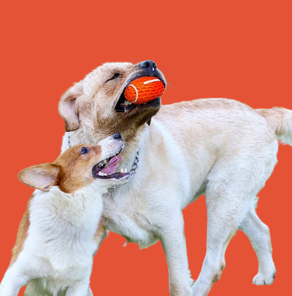 Squeaky Balls For Dogs, Rubber Football For Aggressive Chewers, Fetch Toys, Durable And Interactive Ball, Funny Squeaky Ball Heavy Duty