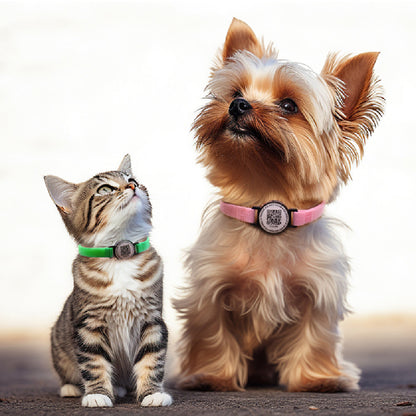 Creative Personality QR Code Anti-lost Dog Collar