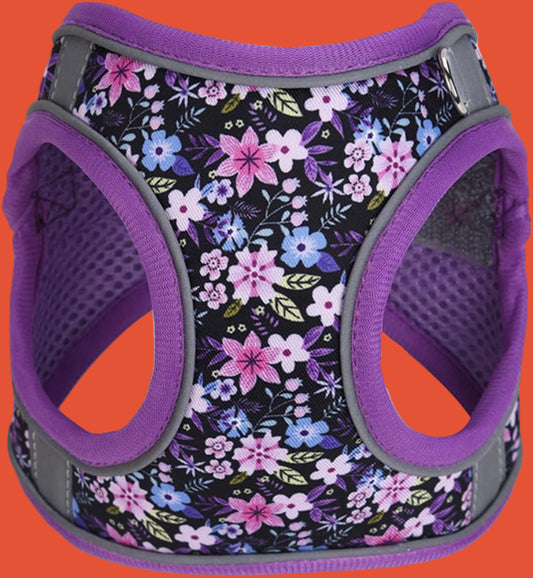 Step In Dog Harness No Pull Flower Adjustable Soft Mesh Padded Reflective Pet Vest Harness And Leash Set For Small Medium Dogs